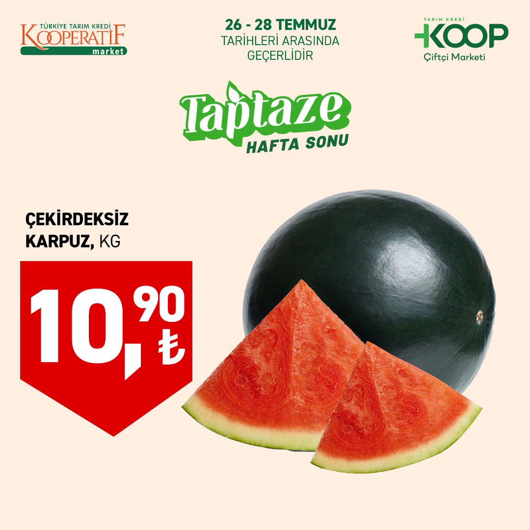 Tarım Kredi Kooperatif Market 26 Temmuz 2025 Kataloğu