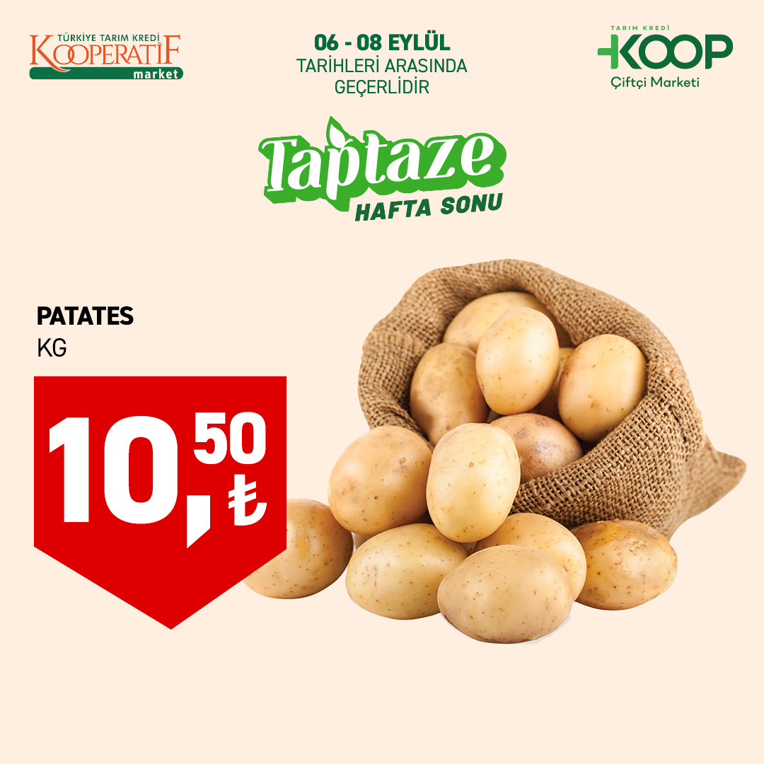 Tarım Kredi Kooperatif Market 6 Eylül 2025 Kataloğu