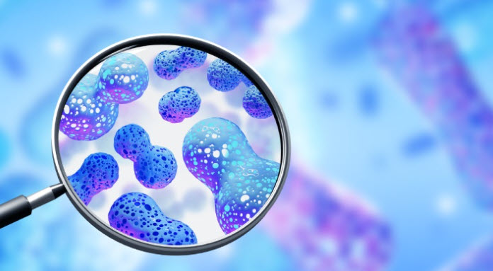 Mikrobiyom Dengesi Nedir? Bağırsak Sağlığının Vücut Üzerindeki Etkileri