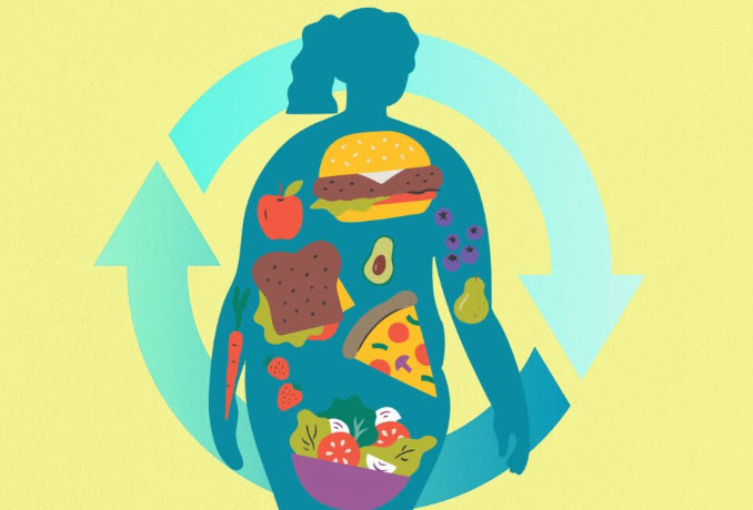 Metabolizma Nasıl Çalışır? Enerji Dengesinin Bilimsel Temelleri