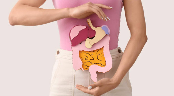 Sindirim Sistemi Sağlığı: Mikrobiyomun Vücuttaki Önemi